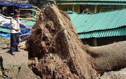 Thời tiết đang diễn biến bất thường