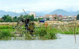 Nạn hút cát lậu hoành hành