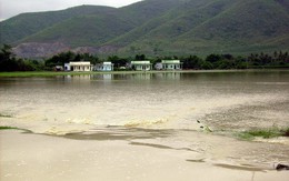 Lũ trái mùa, hơn 500ha cây trồng bị hại