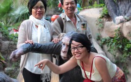 Đưa cha mẹ đi chơi