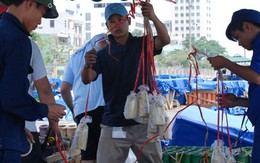 Giải trí lễ 30-4 và 1-5