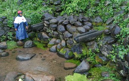 Nỗi buồn giếng cổ