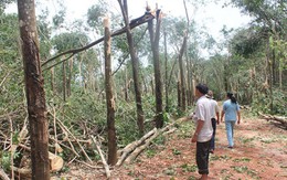 Lốc xoáy kèm mưa đá gây hại nhiều nơi