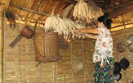 Hơn 240.000 dân Thanh Hóa thiếu đói