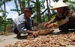 Sỏi đá tìm nhau