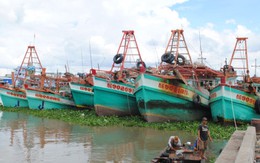 Nhiều tàu cá nằm bờ