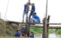 Thưa mẹ, con xin đi tình nguyện!