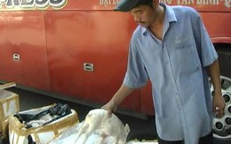 Tiêu hủy toàn bộ 400 con heo sữa
