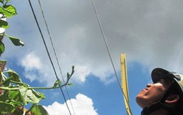 Đèn đường liên ấp chống tệ nạn xã hội