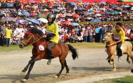 Đua ngựa thồ trên cao nguyên Bắc Hà