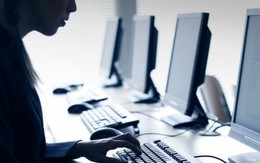 Vi phạm bản quyền phần mềm còn 83%
