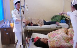 Đà Lạt: đã có trên 290 du khách bị ngộ độc thực phẩm
