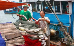 Sống giữa biển Đông - Kỳ cuối: Đội tự quản giữa trùng khơi