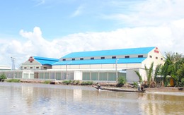 Dùng dằng di dời chợ Bạc Liêu