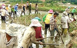 Thanh niên H’Rê giúp dân làm đồng