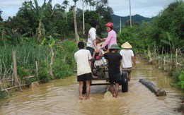 Dịch vụ "chém ngọt" trong mùa lụt