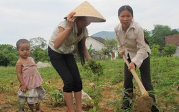 5 năm đi đòi đất