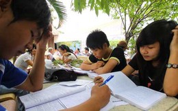 Cơ hội trúng tuyển nhiều hơn