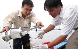 Lại "kêu cứu" cho sông Sài Gòn
