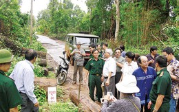 Bài thơ đọc trên đường đi