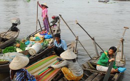 TNS Jim Web: bảo vệ sông Mekong