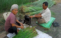 Tăng gấp đôi thu nhập cho dân nông thôn