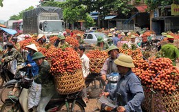 1kg vải thiều = 2 ly trà đá