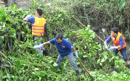Sức trẻ xây dựng nông thôn mới