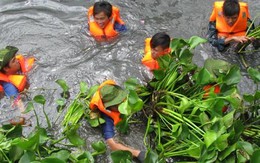 Xanh lại những dòng kênh