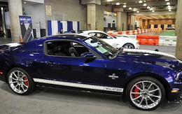 Mustang GT500 thế hệ mới