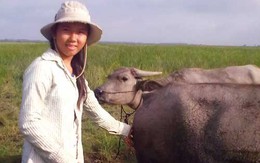 Cô bé chăn trâu ở đảo Lòng Hồ