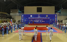 Ngày hội Vovinam thế giới