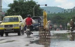 Thả trộm vì chưa đủ yếu tố xử lý hình sự