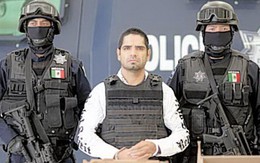 Bắt trùm ma túy Mexico gián tiếp giết 1.500 người