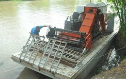 Mua máy gặt đập về... làm cảnh