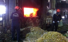 Tiêu hủy xong 10.000 thùng rau câu chứa DEHP