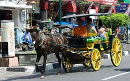 Một ngày ở Jogja