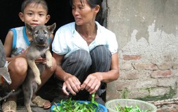 Lặn lội thân cò