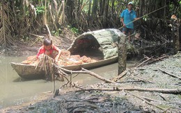 Không ngượng miệng!