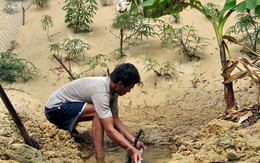 Lấy nước từ cát