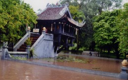 Di tích chùa Diên Hựu - Một Cột: mưa, dột, ngập!