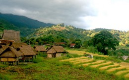 Ruộng bậc thang ở Tây nguyên