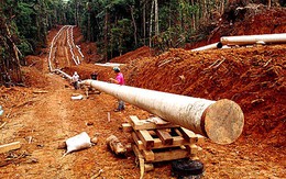 Ecuador: dầu hay vườn quốc gia?