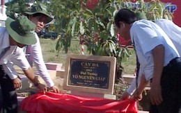 Trồng cây do hai bác Võ Nguyên Giáp, Võ Chí Công tặng