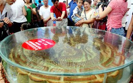 Trung Quốc đánh thuế bánh trung thu