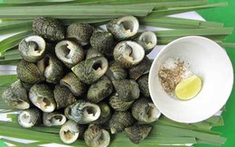 Ốc ngọt Côn Đảo