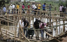 Vỡ đập ở Nigeria, 102 người chết