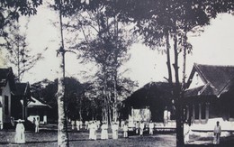 Đường Thiên Lý giữa Sài Gòn - Kỳ 4: Cội nguồn nhân ái
