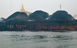 "Vì sao tôi mặc áo giáp?"