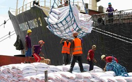 Thái Lan tăng gấp đôi giá thu mua gạo